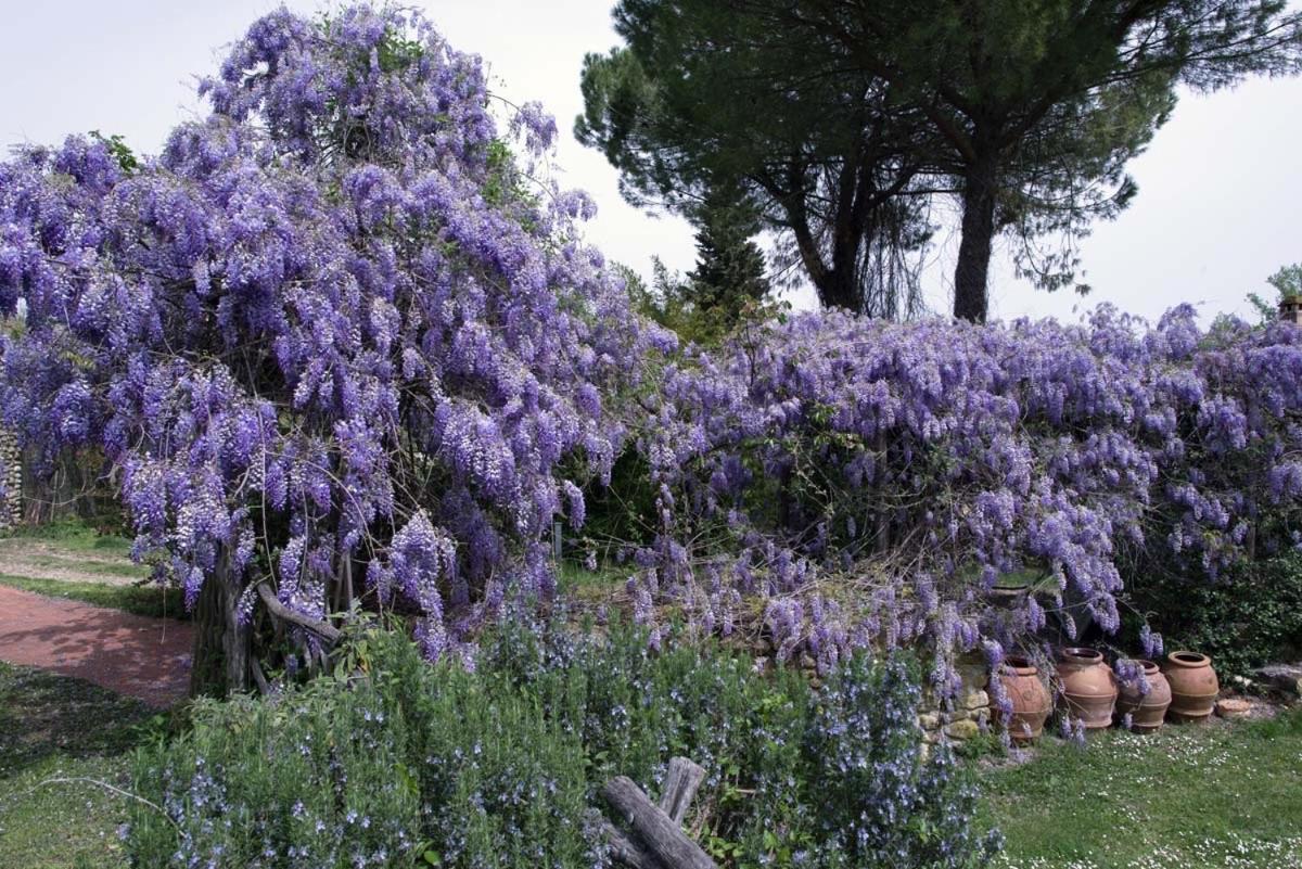 Villa Molino In Chianti Mercatale Val Di Pesa Esterno foto