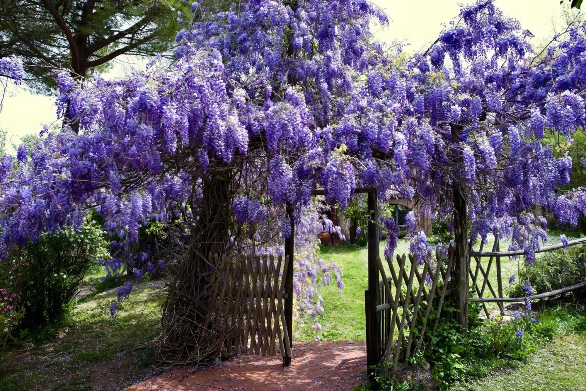Villa Molino In Chianti Mercatale Val Di Pesa Esterno foto