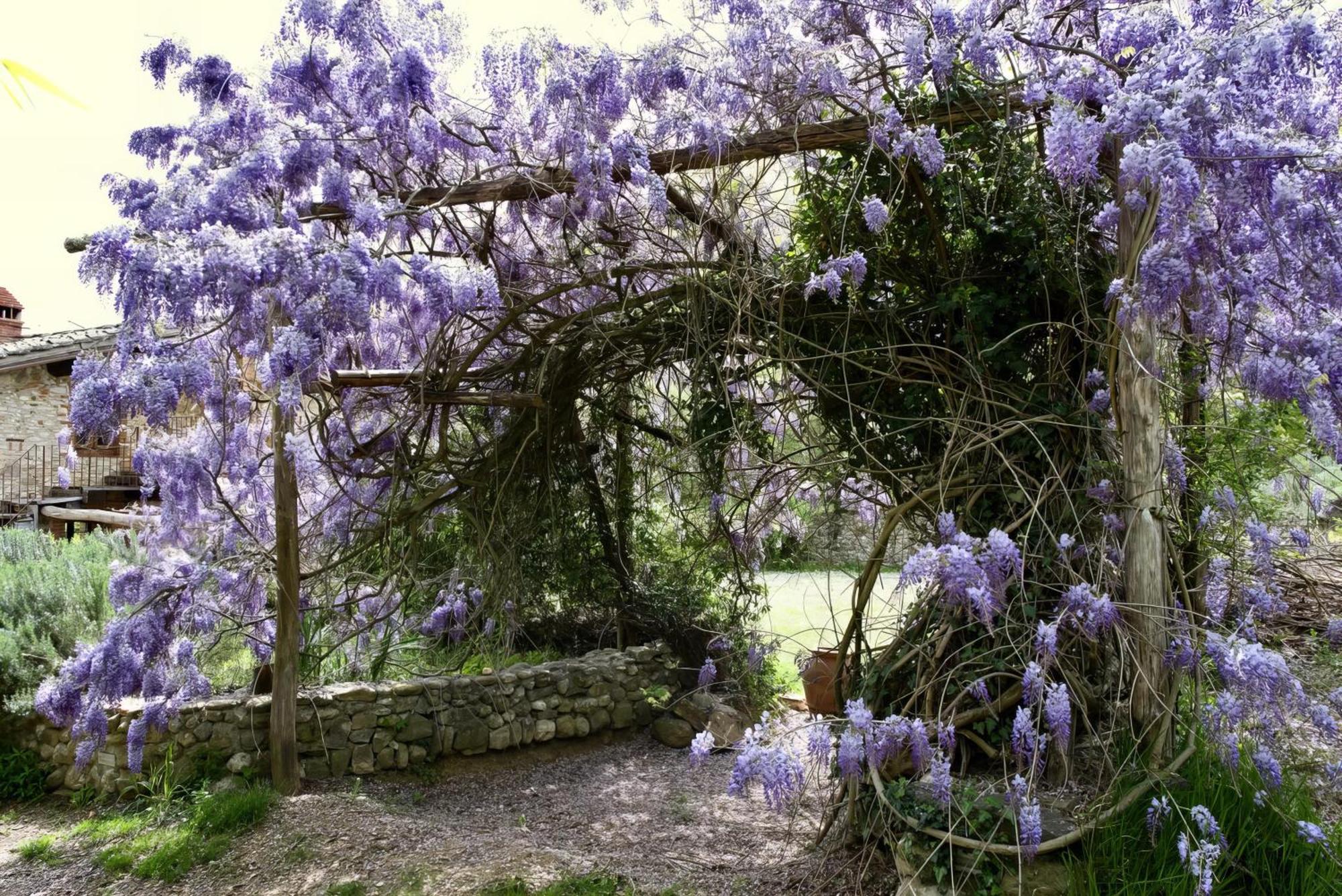 Villa Molino In Chianti Mercatale Val Di Pesa Esterno foto
